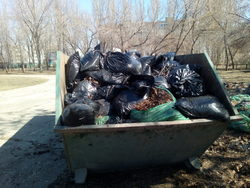 ���������