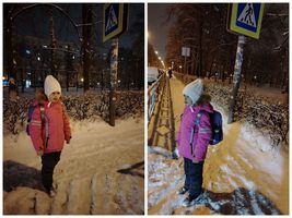 �����������