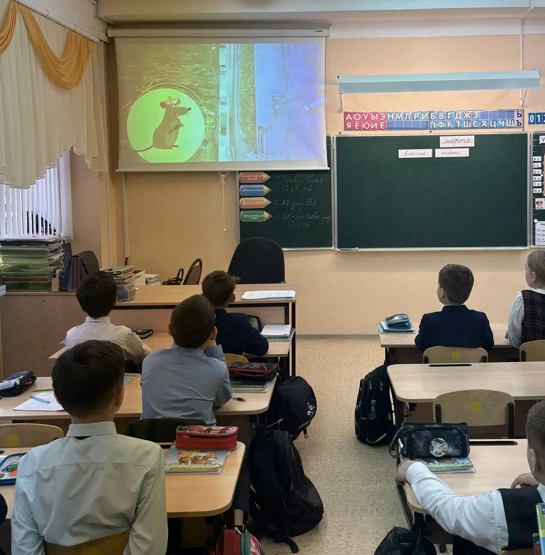 �����������