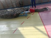 �����������