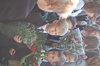    2009. . 1