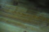    2010. . 27-29