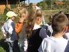    2010. . 17. 2 . 