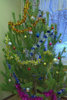    2014.12. 23-26.  