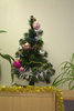    2014.12. 23-26.  