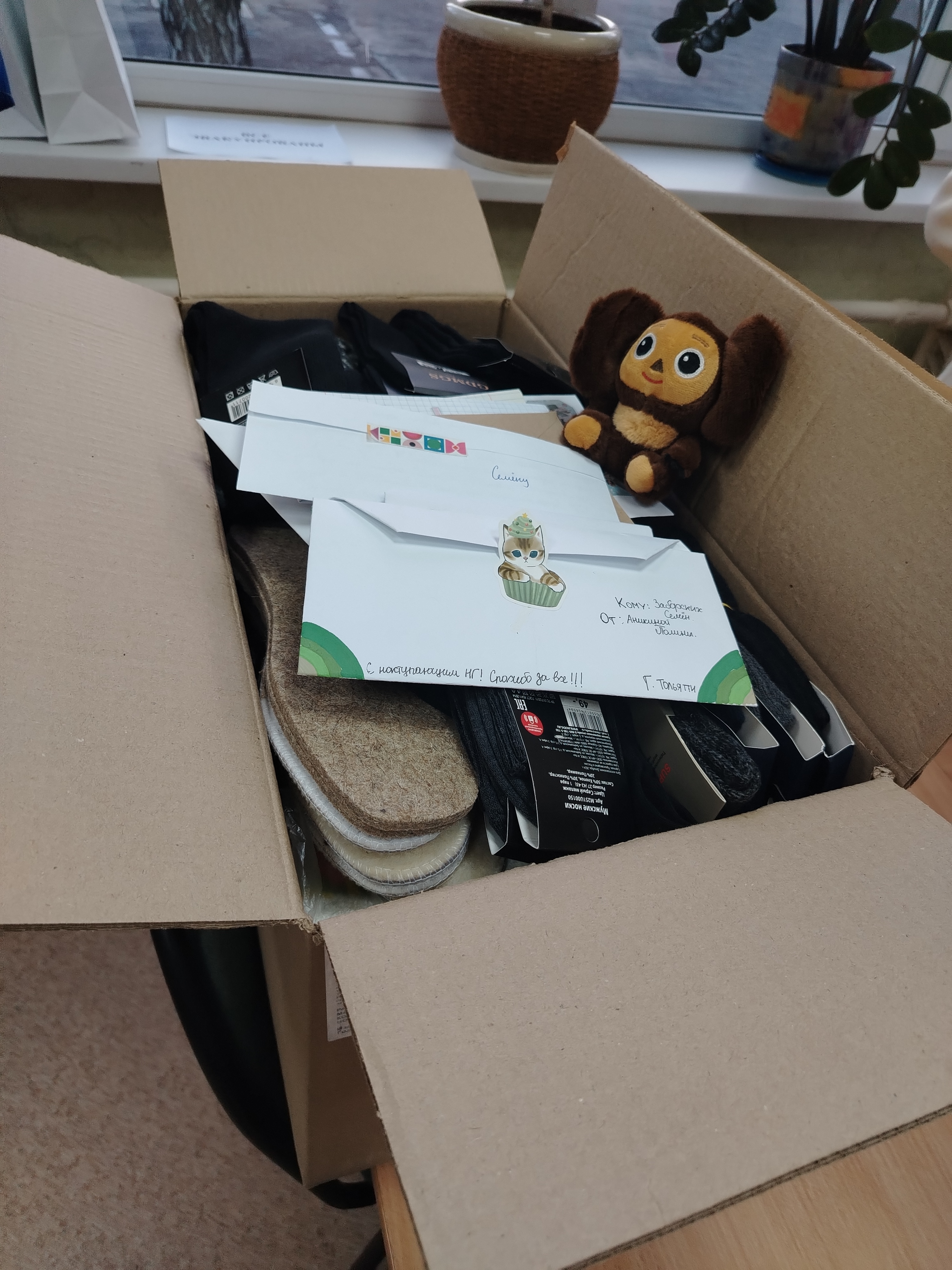 �����������